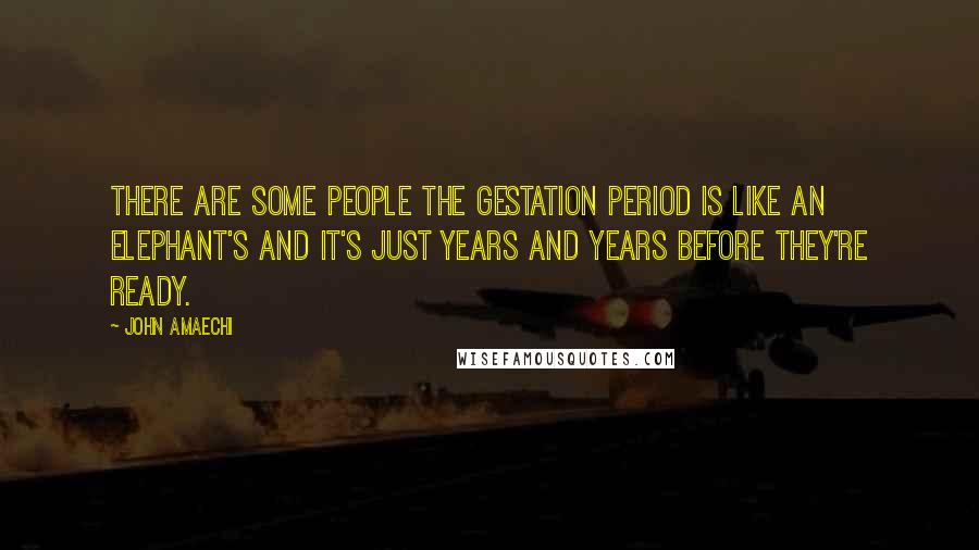 John Amaechi Quotes: There are some people the gestation period is like an elephant's and it's just years and years before they're ready.