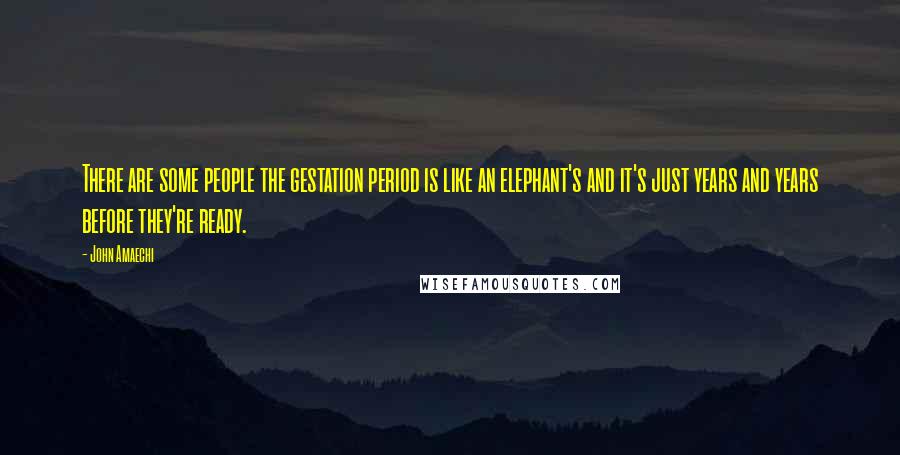 John Amaechi Quotes: There are some people the gestation period is like an elephant's and it's just years and years before they're ready.