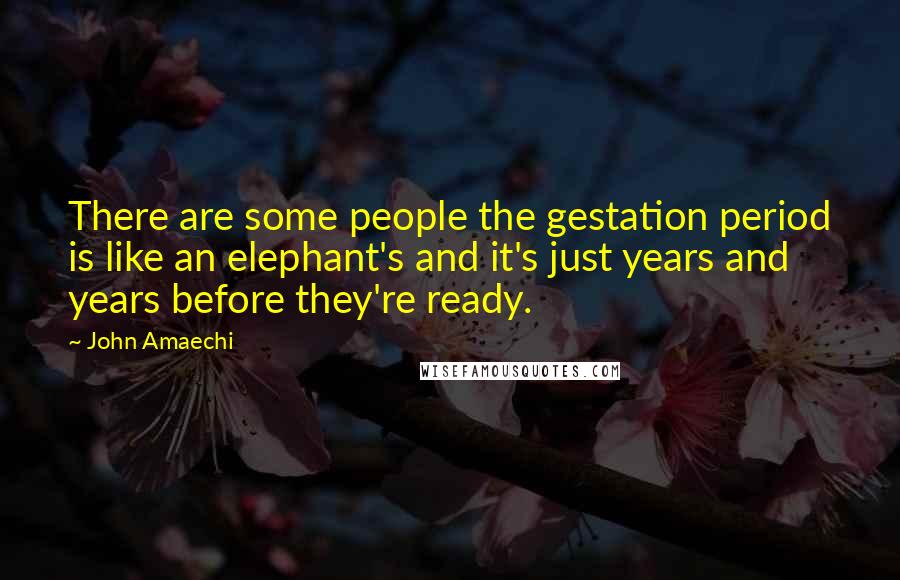 John Amaechi Quotes: There are some people the gestation period is like an elephant's and it's just years and years before they're ready.