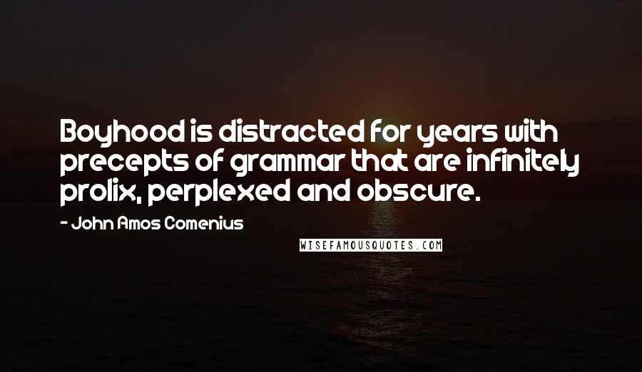 John Amos Comenius Quotes: Boyhood is distracted for years with precepts of grammar that are infinitely prolix, perplexed and obscure.