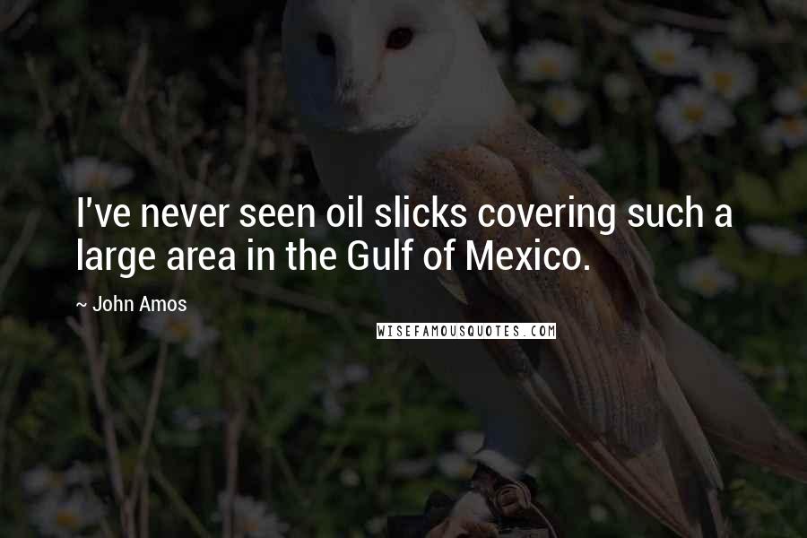 John Amos Quotes: I've never seen oil slicks covering such a large area in the Gulf of Mexico.