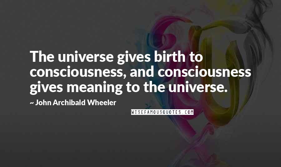John Archibald Wheeler Quotes: The universe gives birth to consciousness, and consciousness gives meaning to the universe.