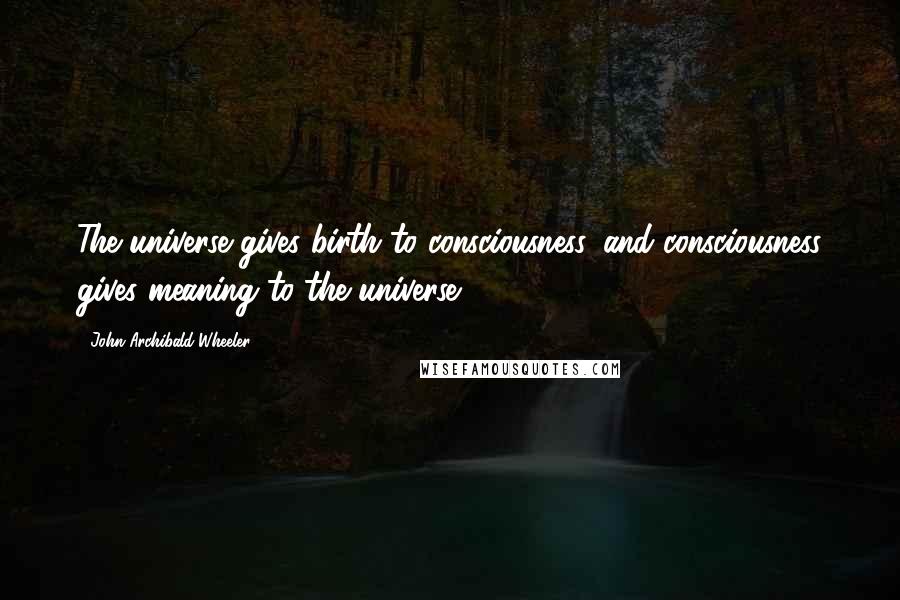 John Archibald Wheeler Quotes: The universe gives birth to consciousness, and consciousness gives meaning to the universe.