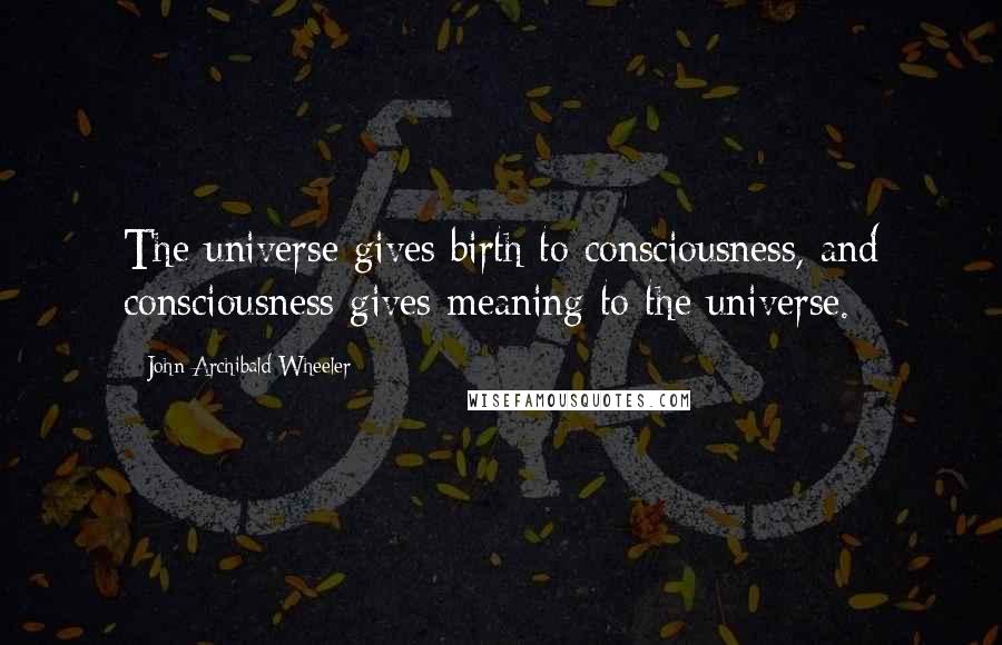 John Archibald Wheeler Quotes: The universe gives birth to consciousness, and consciousness gives meaning to the universe.