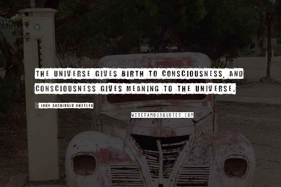 John Archibald Wheeler Quotes: The universe gives birth to consciousness, and consciousness gives meaning to the universe.