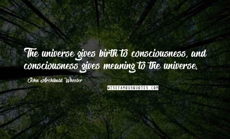 John Archibald Wheeler Quotes: The universe gives birth to consciousness, and consciousness gives meaning to the universe.