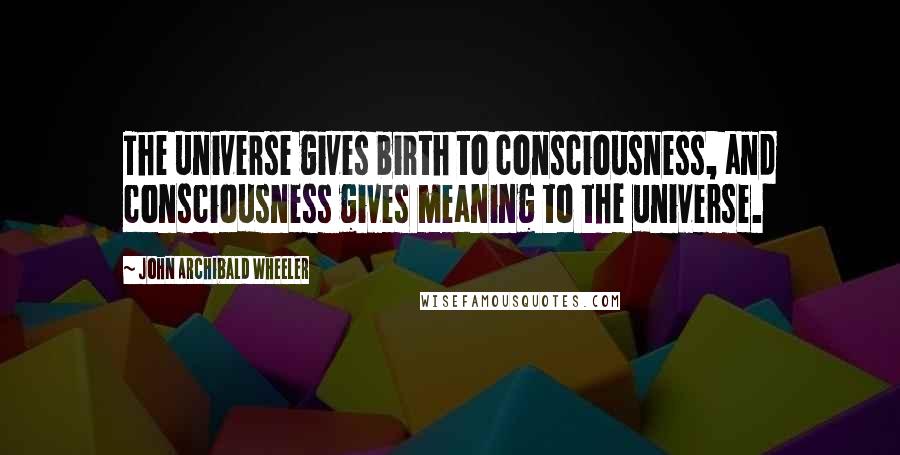 John Archibald Wheeler Quotes: The universe gives birth to consciousness, and consciousness gives meaning to the universe.