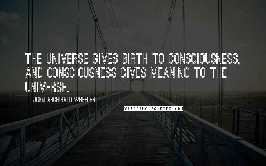 John Archibald Wheeler Quotes: The universe gives birth to consciousness, and consciousness gives meaning to the universe.