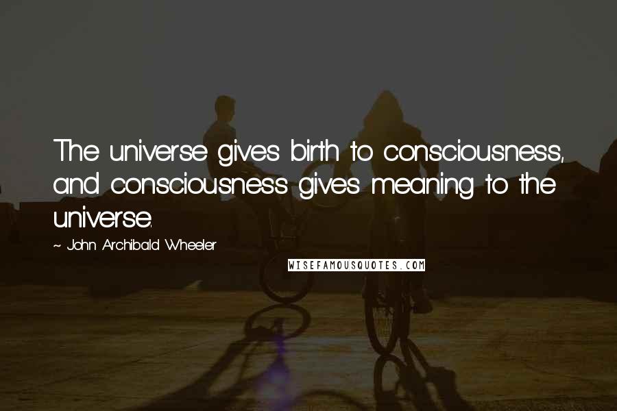 John Archibald Wheeler Quotes: The universe gives birth to consciousness, and consciousness gives meaning to the universe.