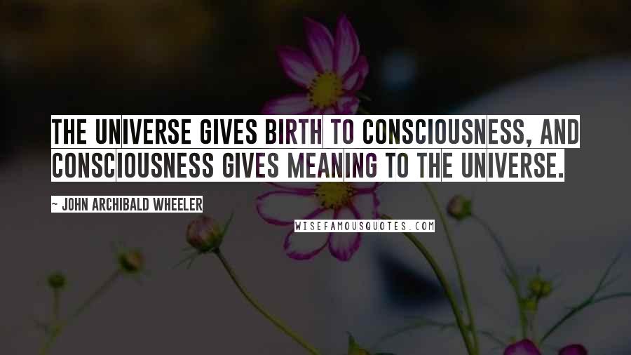 John Archibald Wheeler Quotes: The universe gives birth to consciousness, and consciousness gives meaning to the universe.