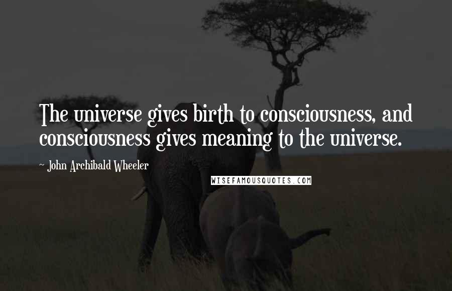 John Archibald Wheeler Quotes: The universe gives birth to consciousness, and consciousness gives meaning to the universe.