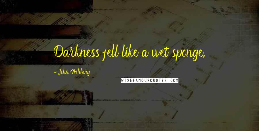 John Ashbery Quotes: Darkness fell like a wet sponge.