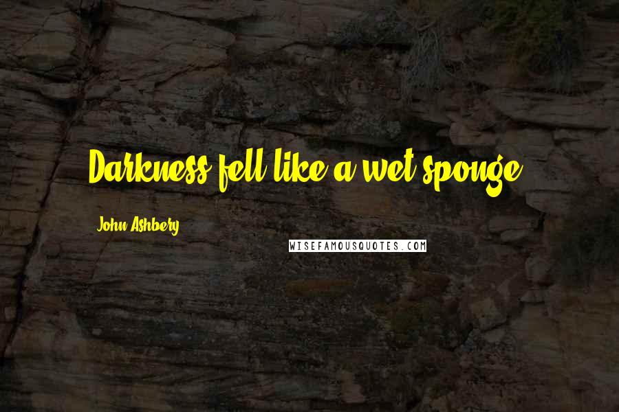 John Ashbery Quotes: Darkness fell like a wet sponge.