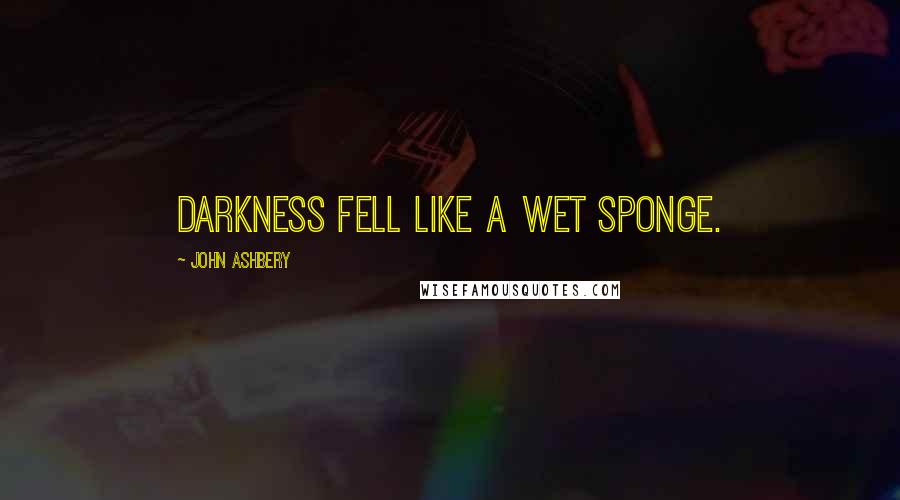 John Ashbery Quotes: Darkness fell like a wet sponge.