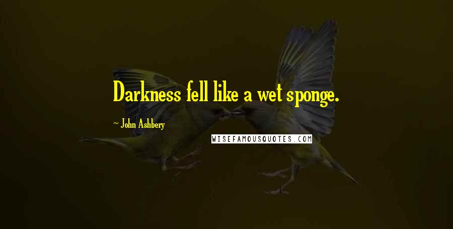 John Ashbery Quotes: Darkness fell like a wet sponge.