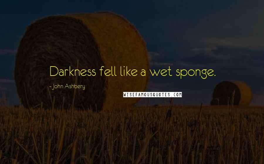 John Ashbery Quotes: Darkness fell like a wet sponge.