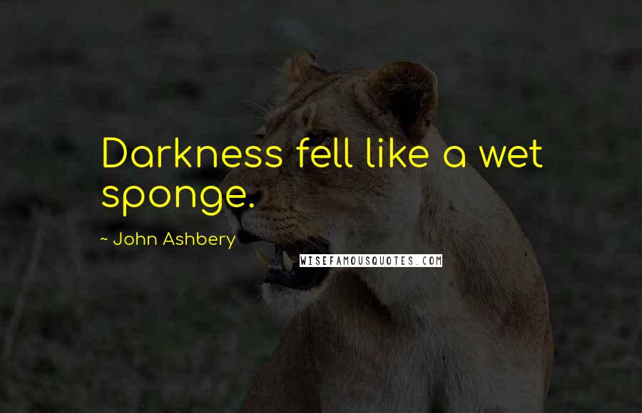 John Ashbery Quotes: Darkness fell like a wet sponge.