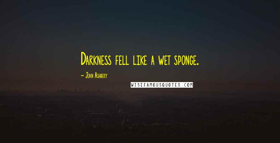 John Ashbery Quotes: Darkness fell like a wet sponge.