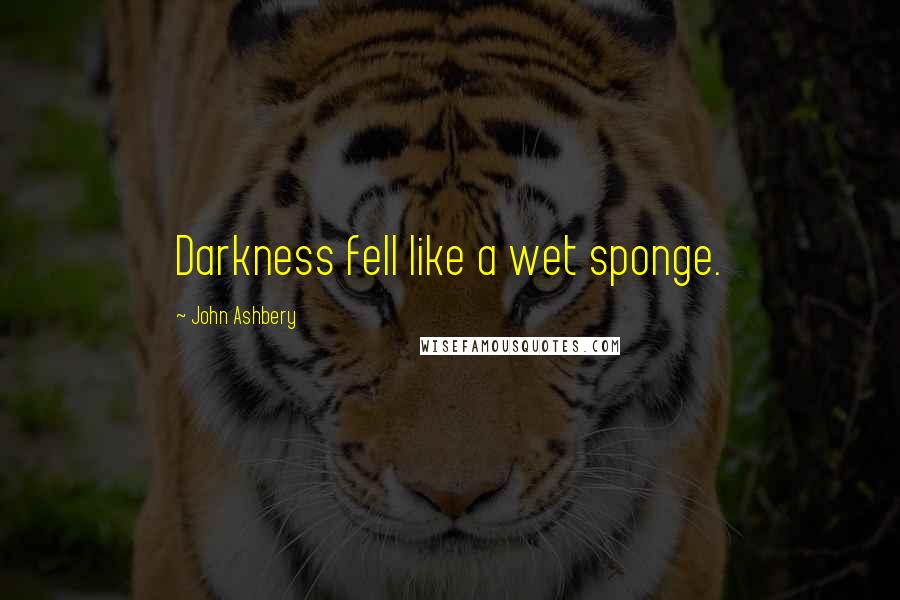 John Ashbery Quotes: Darkness fell like a wet sponge.