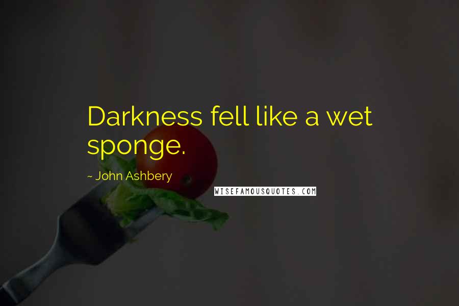 John Ashbery Quotes: Darkness fell like a wet sponge.