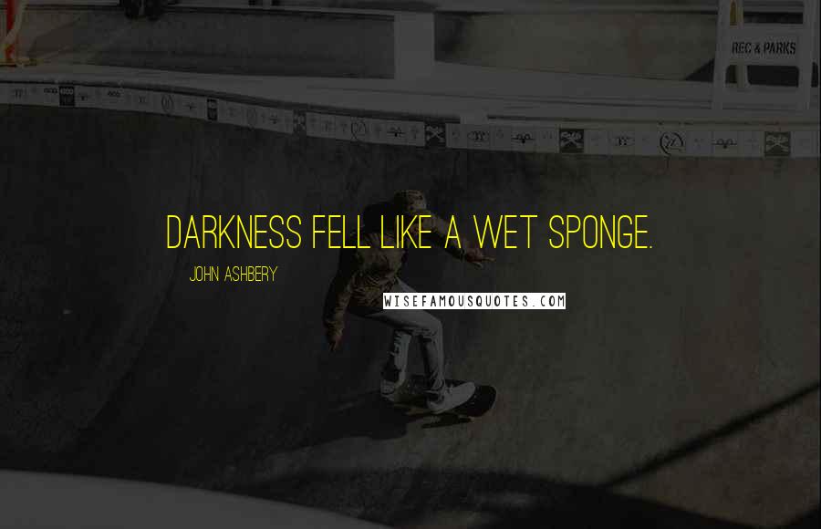 John Ashbery Quotes: Darkness fell like a wet sponge.