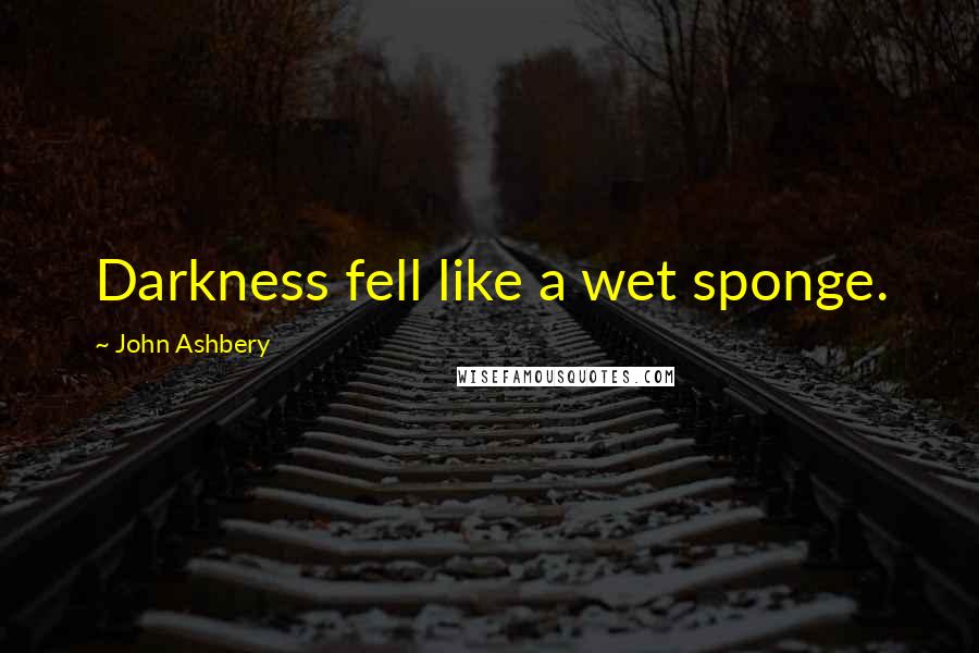 John Ashbery Quotes: Darkness fell like a wet sponge.