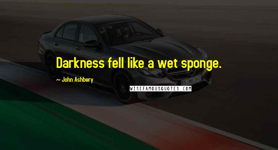 John Ashbery Quotes: Darkness fell like a wet sponge.