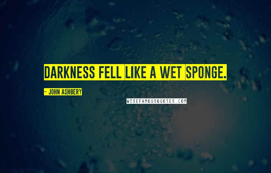 John Ashbery Quotes: Darkness fell like a wet sponge.