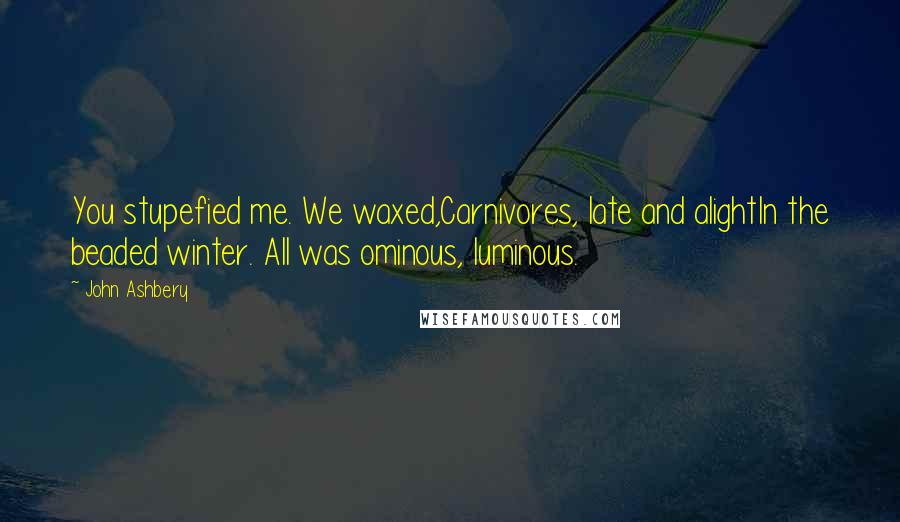 John Ashbery Quotes: You stupefied me. We waxed,Carnivores, late and alightIn the beaded winter. All was ominous, luminous.