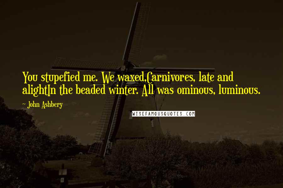 John Ashbery Quotes: You stupefied me. We waxed,Carnivores, late and alightIn the beaded winter. All was ominous, luminous.