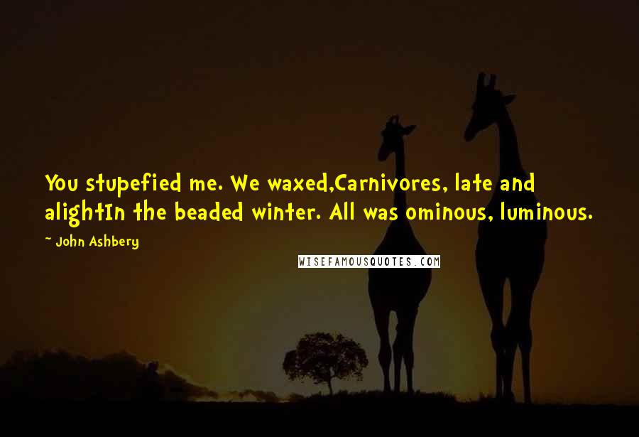 John Ashbery Quotes: You stupefied me. We waxed,Carnivores, late and alightIn the beaded winter. All was ominous, luminous.