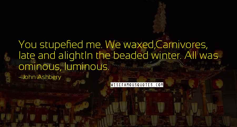 John Ashbery Quotes: You stupefied me. We waxed,Carnivores, late and alightIn the beaded winter. All was ominous, luminous.
