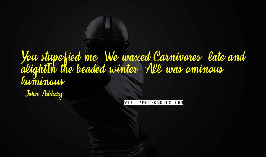 John Ashbery Quotes: You stupefied me. We waxed,Carnivores, late and alightIn the beaded winter. All was ominous, luminous.