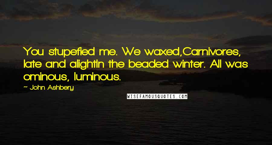 John Ashbery Quotes: You stupefied me. We waxed,Carnivores, late and alightIn the beaded winter. All was ominous, luminous.