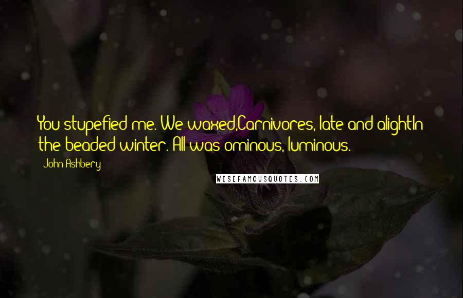 John Ashbery Quotes: You stupefied me. We waxed,Carnivores, late and alightIn the beaded winter. All was ominous, luminous.