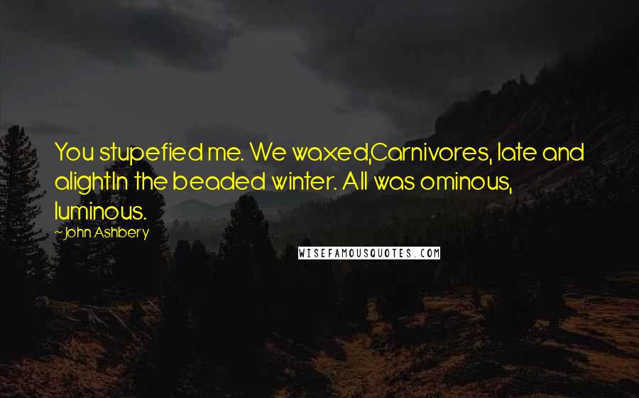 John Ashbery Quotes: You stupefied me. We waxed,Carnivores, late and alightIn the beaded winter. All was ominous, luminous.