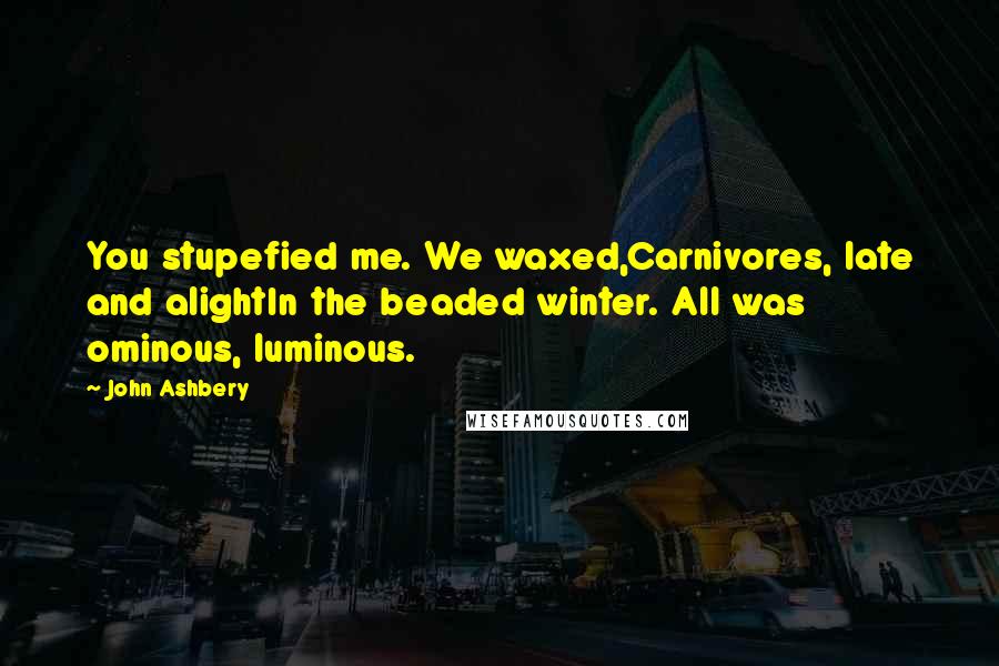 John Ashbery Quotes: You stupefied me. We waxed,Carnivores, late and alightIn the beaded winter. All was ominous, luminous.