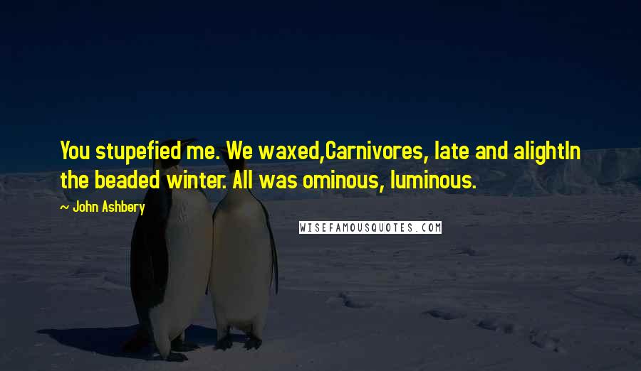 John Ashbery Quotes: You stupefied me. We waxed,Carnivores, late and alightIn the beaded winter. All was ominous, luminous.