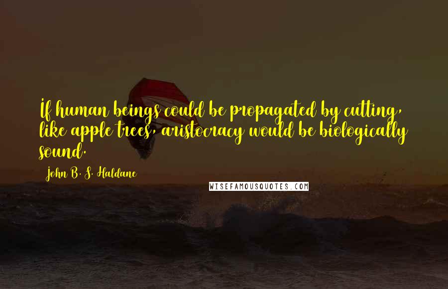 John B. S. Haldane Quotes: If human beings could be propagated by cutting, like apple trees, aristocracy would be biologically sound.