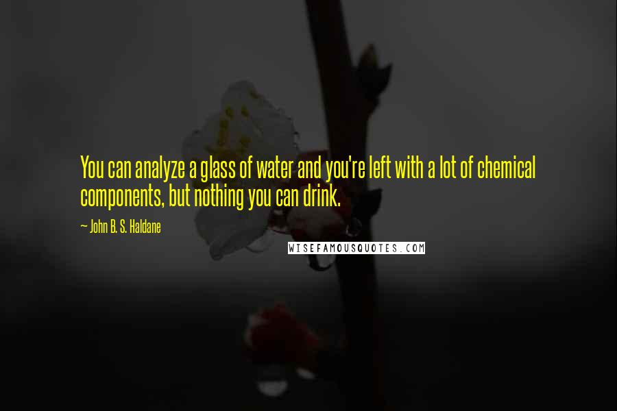 John B. S. Haldane Quotes: You can analyze a glass of water and you're left with a lot of chemical components, but nothing you can drink.