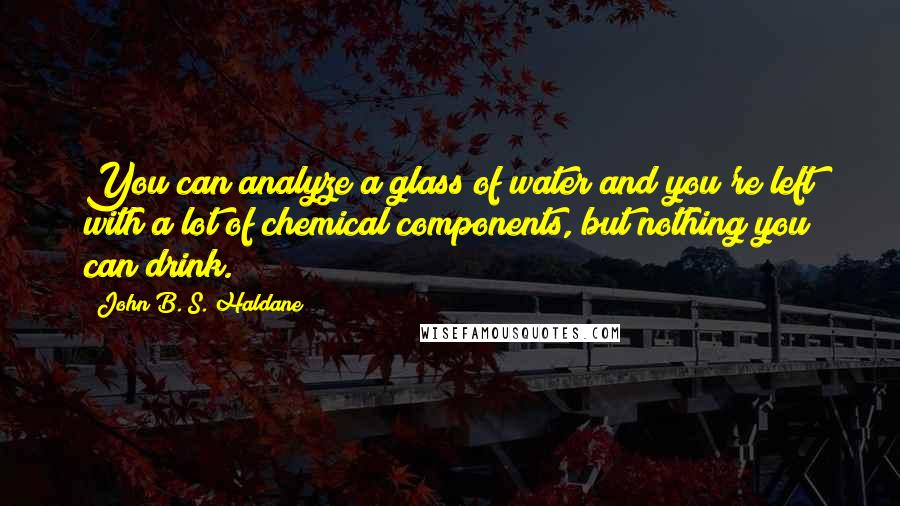 John B. S. Haldane Quotes: You can analyze a glass of water and you're left with a lot of chemical components, but nothing you can drink.