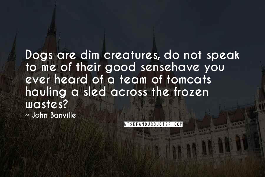 John Banville Quotes: Dogs are dim creatures, do not speak to me of their good sensehave you ever heard of a team of tomcats hauling a sled across the frozen wastes?