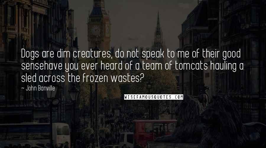 John Banville Quotes: Dogs are dim creatures, do not speak to me of their good sensehave you ever heard of a team of tomcats hauling a sled across the frozen wastes?