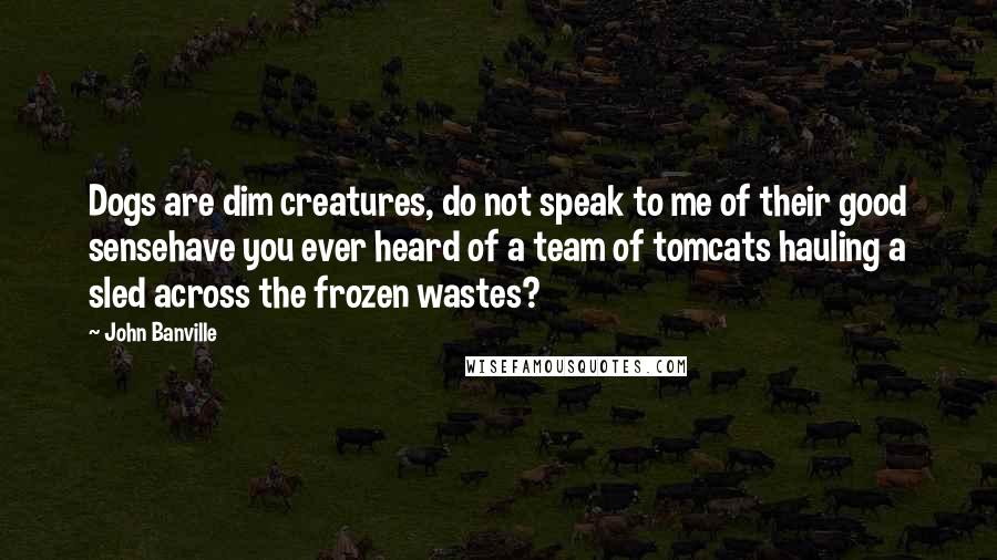 John Banville Quotes: Dogs are dim creatures, do not speak to me of their good sensehave you ever heard of a team of tomcats hauling a sled across the frozen wastes?
