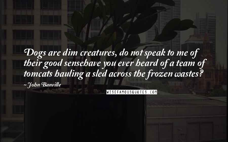 John Banville Quotes: Dogs are dim creatures, do not speak to me of their good sensehave you ever heard of a team of tomcats hauling a sled across the frozen wastes?