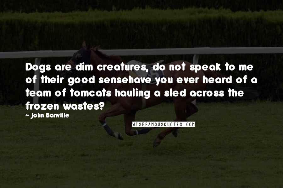 John Banville Quotes: Dogs are dim creatures, do not speak to me of their good sensehave you ever heard of a team of tomcats hauling a sled across the frozen wastes?