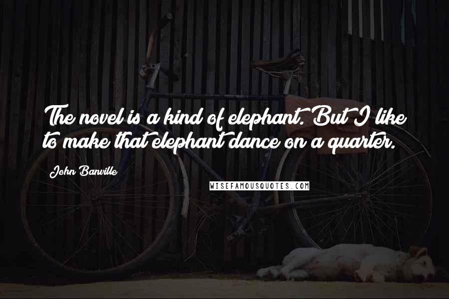 John Banville Quotes: The novel is a kind of elephant. But I like to make that elephant dance on a quarter.