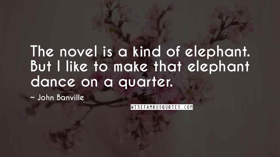 John Banville Quotes: The novel is a kind of elephant. But I like to make that elephant dance on a quarter.