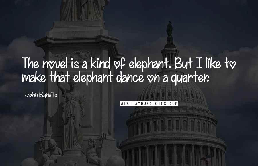 John Banville Quotes: The novel is a kind of elephant. But I like to make that elephant dance on a quarter.