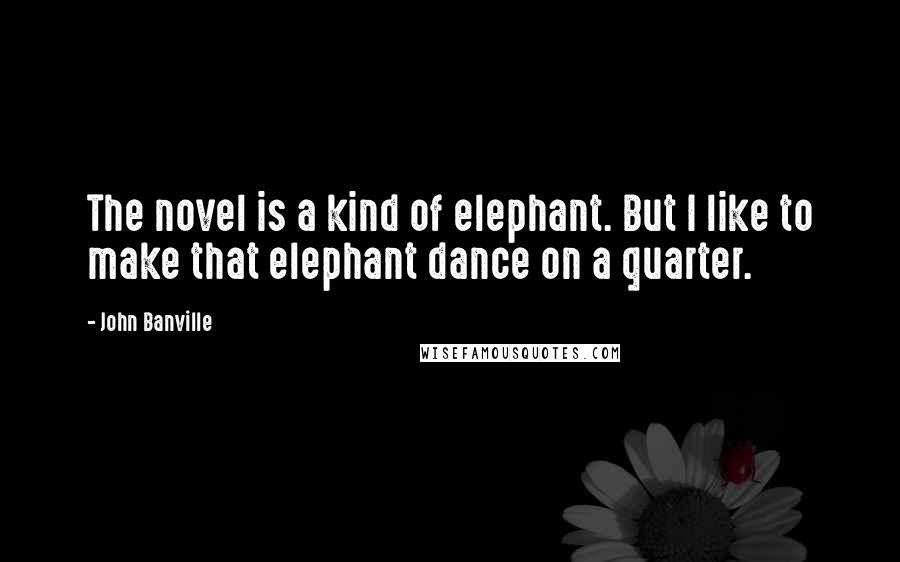 John Banville Quotes: The novel is a kind of elephant. But I like to make that elephant dance on a quarter.